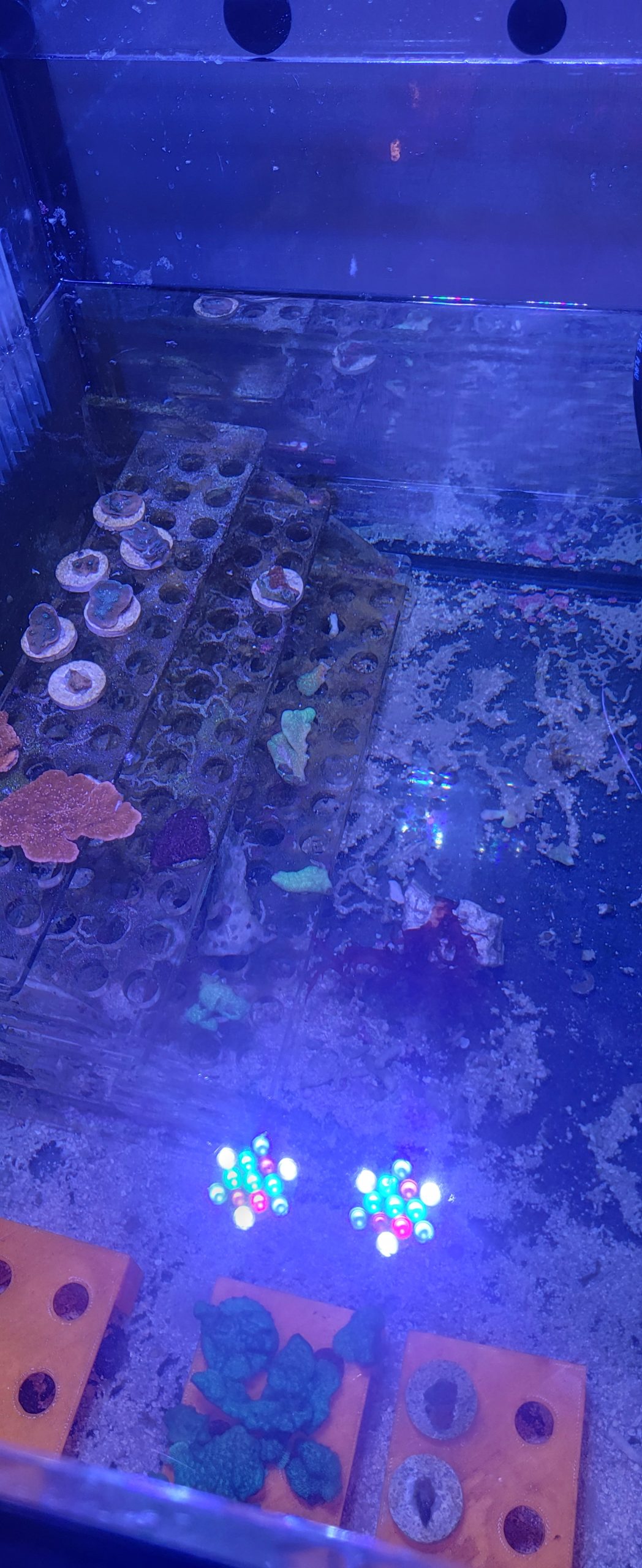 Experiment: Sump Frags